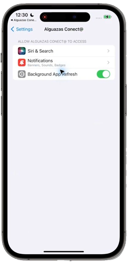 Permisos de Alguazas Conecta en iOS
