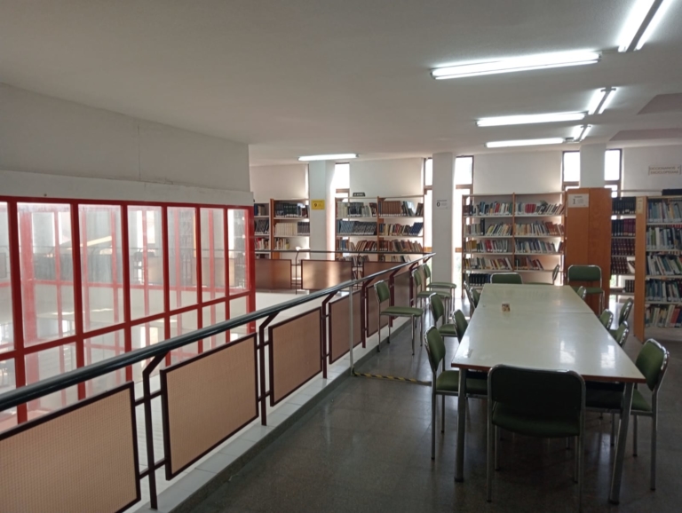 Bibliteca adultos