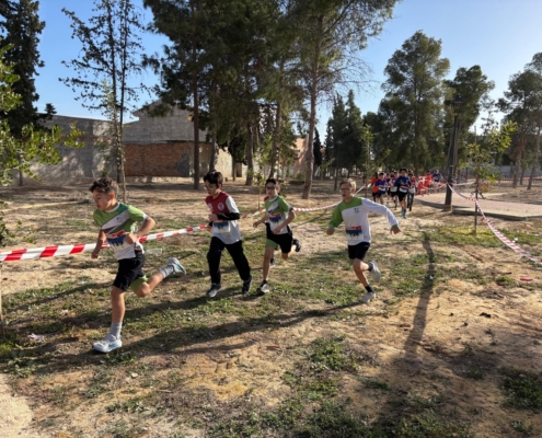 Medio millar de escolares se dan cita en el Cross Municipal 4